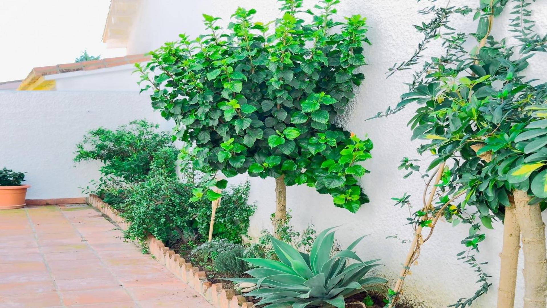 בנאלמדנה Vivienda Con Encanto Goya Nº4 מראה חיצוני תמונה